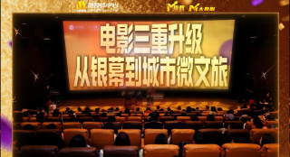 国内精品久久久久女同